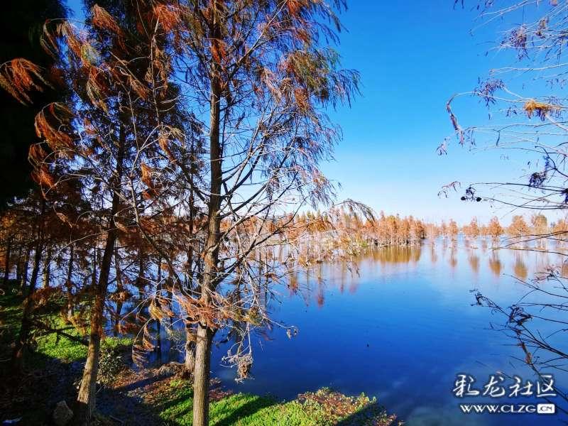 高铁乘务员专业好不好？游戏画面